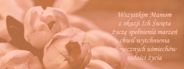 Różowe tulipany z życzeniami dla wszystkich mam
